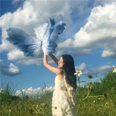 傻儿师长